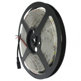 TIRA 300 LEDS 5050 5M 72W EXTERIOR BLANCO FRIO