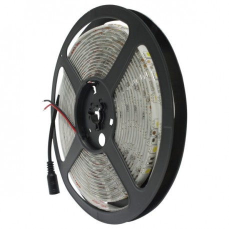 TIRA 300 LEDS 5050 5M 72W EXTERIOR BLANCO FRIO