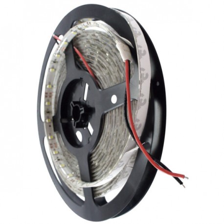 TIRA 300 LEDS 2835 5M 24W EXTERIOR BLANCO FRIO