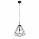 Pendant 1 Luz DALI color negro Q31579-BK  quor lighting