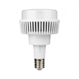 FOCO INDUSTRIAL LED DE 60W ALTA POTENCIA  TECNOLED ML-LN-60W-BB