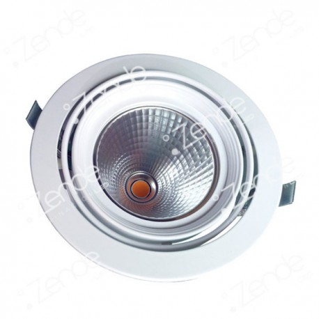 Luminaria para techo movible AG-DLO-30W
 ZENDE
